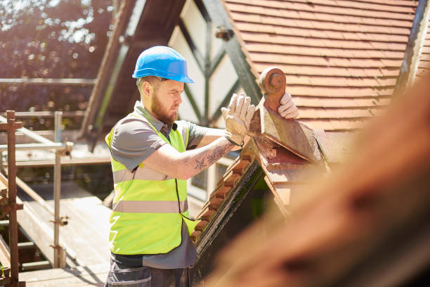 Best Residential Roof Replacement  in Paxton, IL