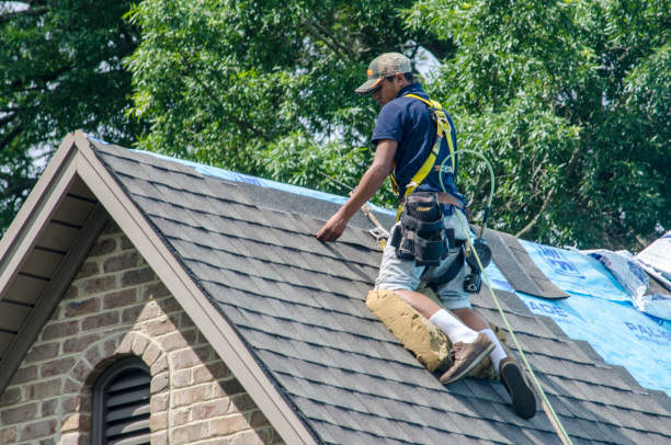 Best Emergency Roof Repair  in Paxton, IL